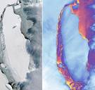 Reusachtige losgescheurde ijsberg legt uniek ecosysteem bloot