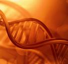 Doe-het-zelven met DNA: 