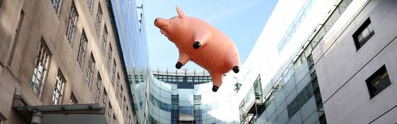 Vliegende varkens, tikkende klokken en de stok van de meester: Pink Floyd in de kijker
