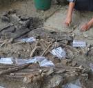 Op de Filipijnen zijn extreem vroege sporen van de mens gevonden. Hoe kon de mens daar in die tijd komen?