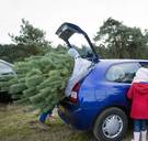 Kerstboom zorgt voor spoor van vernieling in Duits stadje
