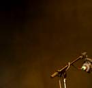 Dit zijn onze 5 cultuurtips voor het weekend