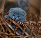 We zijn blijkbaar toch niet zo ongelukkig: 