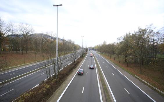 Bomenkap langs E313: 