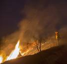  Zo zal de mensheid ten onder gaan (volgens 50 Nobelprijswinnaars)