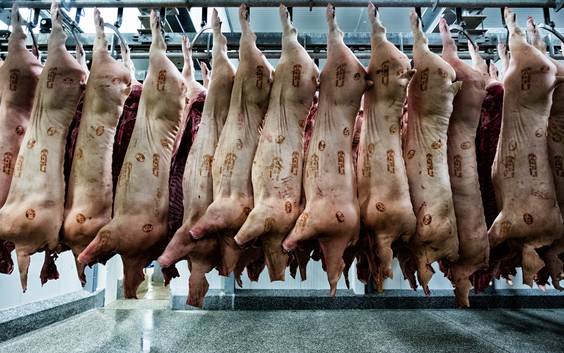 Gouden tip vleesschandaal bleef 18 maanden liggen: hoe betrokken parket in diepe crisis verkeert