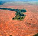 Alarmerend: tropische bossen stoten nu meer CO2 uit dan ze opnemen