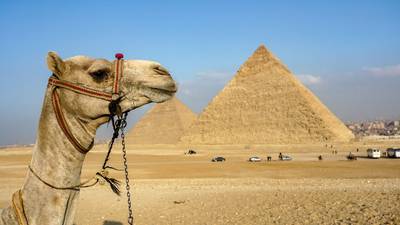 ‘Twee doden door bomaanslag op  toeristenbus bij piramides Egypte’