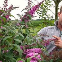Boer Tom onthult zijn favoriete plant