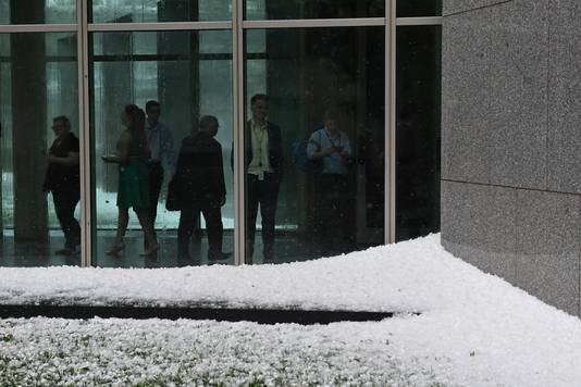 Hopen hagel bij het parlement in Canberra, Australië.