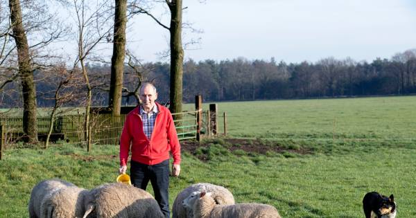 Bedrijfshulp Leende: snel hulp als de boer even niet kan werken - Eindhovens Dagblad