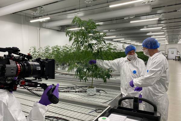 Reizen Waes: Nederland