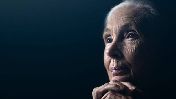 Jane Goodall: The Hope