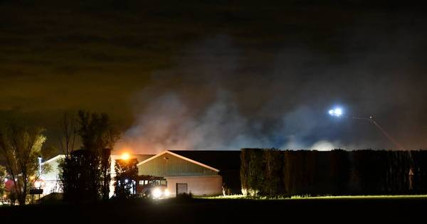 Brand in varkensstal in Poortvliet | Zeeland | bndestem.nl - BN DeStem