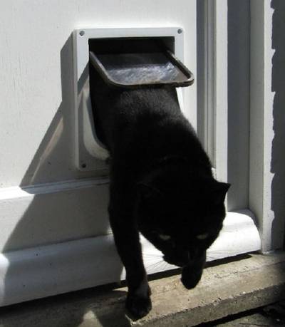 Engeland in de ban van kattenslachter die al 400 keer toesloeg