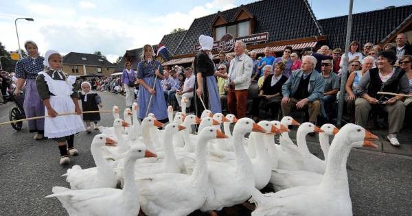 Saasveld op herhaling met cultuurhistorische optocht | Dinkelland - Tubantia
