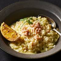 Risotto met saffraan en Hollandse garnaaltjes