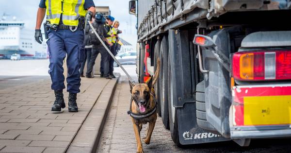 Minder verstekelingen bij Hoek van Holland dankzij speurhonden - AD.nl