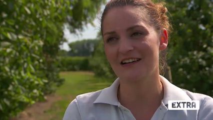 31. Aflevering 31: Appelkanon