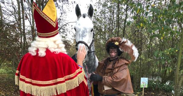 Amerigo Geniet Van Pensioen Bij Avonturenboerderij Molenwaard Rivierenland Bndestem Nl