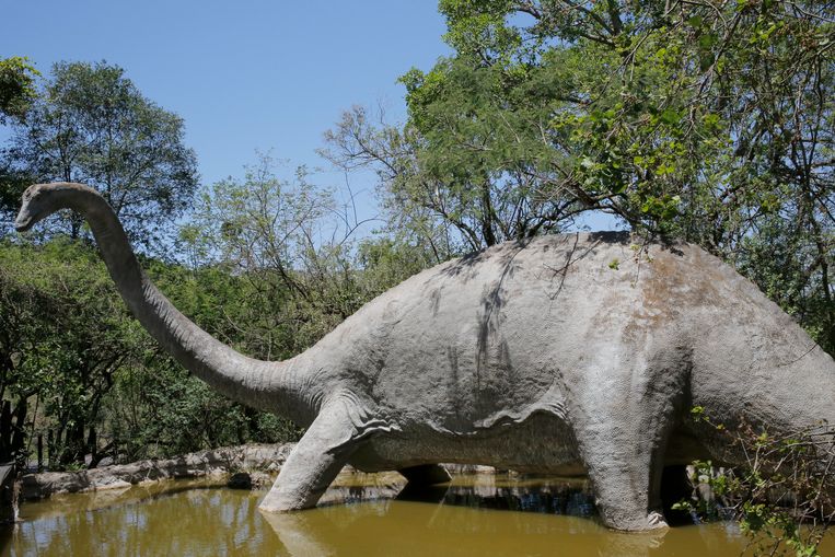 Een dinomodel in het Sudwala Caves Dinosaur park bij Machadodorp in Zuid-Afrika.