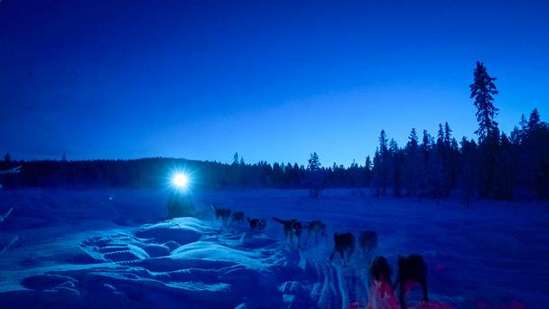 Camping Coppens - Nieuw Jaar Nieuwe Voornemens