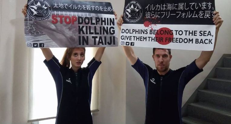 Kirsten De Kimpe en haar Nederlandse kompaan protesteren tegen de dolfijnenjacht in Japan. Ze verstoorden een dolfijnenshow door in het water te duiken.