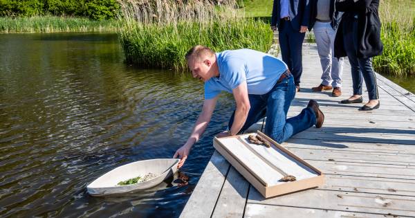 Drijvend afscheid met de urnbootjes uit Bosschenhoofd | Roosendaal - BN DeStem