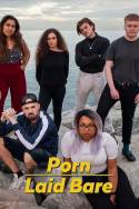boxcover van Porn Laid Bare