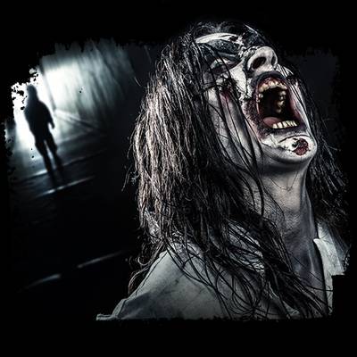 Directeur Avonturenpark Hellendoorn met dood bedreigd om horrorevenement