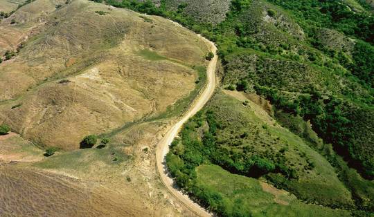 Ecoloog Thomas Crowther: ‘In 2050 beleven we een totale heropleving van de natuur’