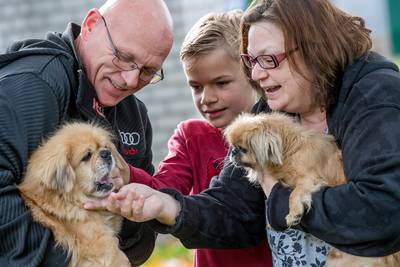 Gedumpt hondje Pikachu heeft een nieuw thuis: ‘Hij krijgt ook een nieuwe naam’