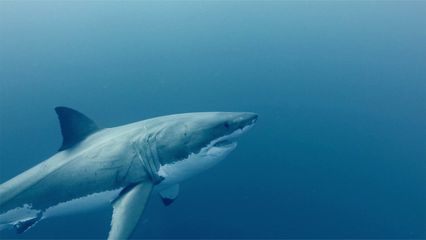 2. Terror in the Water