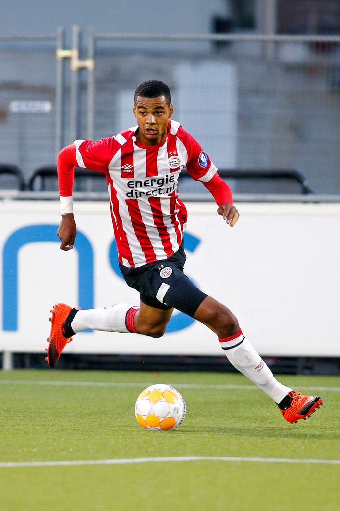 Gakpo / Dutch giants PSV hand professional contract to Ghanaian :