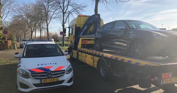 Grote drugsactie in Den Bosch: 550 hennepplanten gevonden in Bossche woning, meer invallen volgen | 112 |..