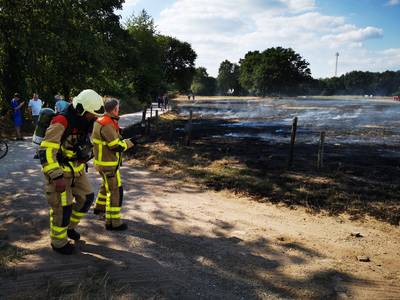 Grote brand in weiland bij Doetinchem: twee hectare afgebrand