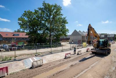 Lot twee eiken in Enkawijk lijkt bezegeld
