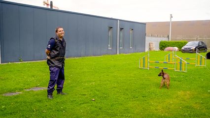 6. Aflevering 6
