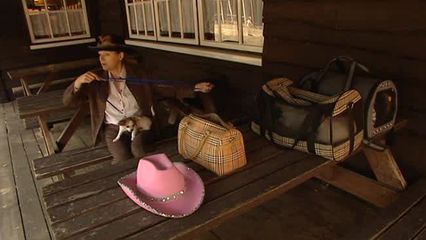 Aflevering 8