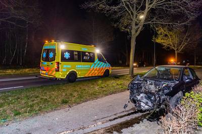 Ravage op N395 bij Diessen: auto botst tegen boom, bestuurder gewond