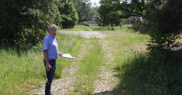 Duits stadje krijgt kopie van Tuinen Appeltern | Oss eo - BD.nl