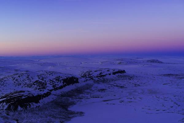 Arctic Wildlife in Lapland
