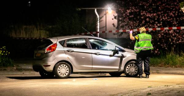 Diversiteit is onze kracht!????Twee mannen, die half april in Zwijndrecht door twee getintïërs neergestoken werden, zijn daarbij beroofd van hun mobieltjes.