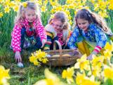 Eén op de zes Nederlanders wil Pasen gewoon gaan vieren