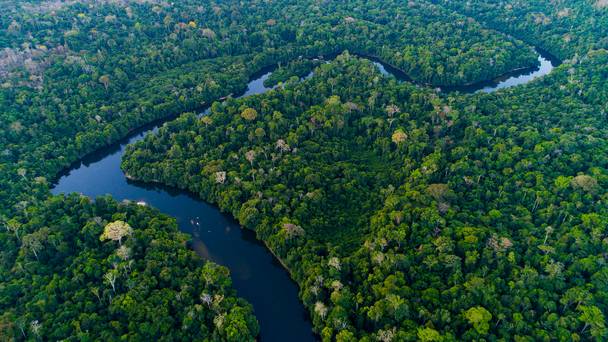 Amazon: Earth's Great Rivers