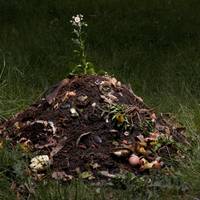 Zo maak je een composthoop voor een gezonde tuin