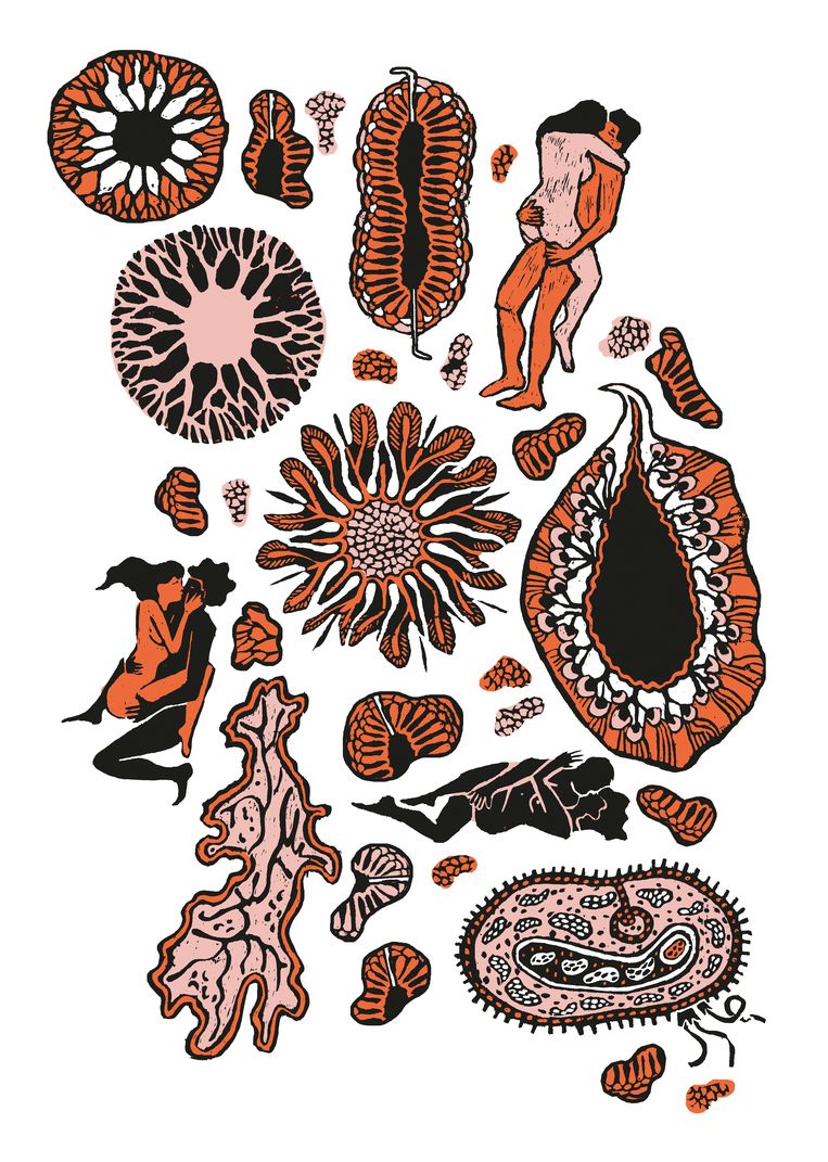 Kind Tussen Twee Culturen De Volkskrant