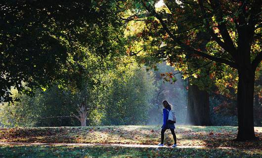Het Marskramerpad: prachtige meerdaagse herfstwandeling dwars door Nederland