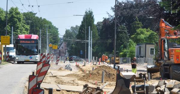 Nieuwe bomen langs vernieuwde wegen in Velp