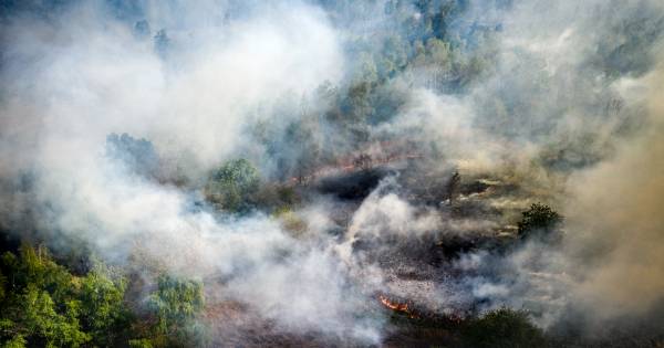 Huizen ontruimd vanwege brand Deurnese Peel, legertank maakt brandgang in brandend bos Limburg - Tub